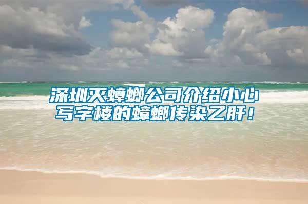 深圳滅蟑螂公司介紹小心寫字樓的蟑螂傳染乙肝！