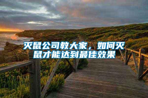 滅鼠公司教大家,如何滅鼠才能達到最佳效果
