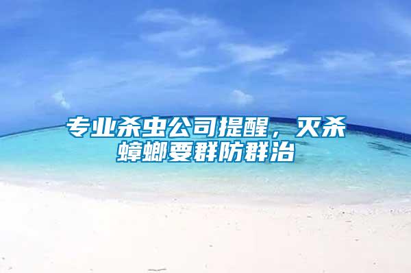 專業殺蟲公司提醒,滅殺蟑螂要群防群治