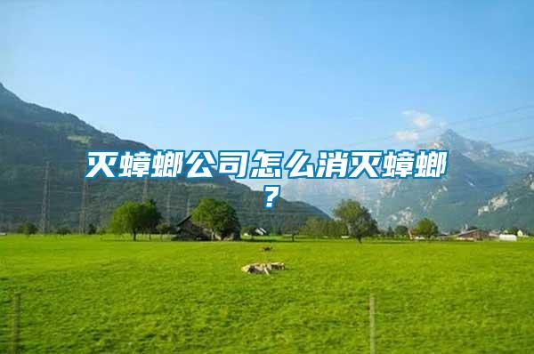 滅蟑螂公司怎么消滅蟑螂？