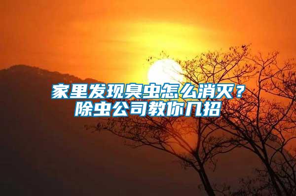 家里發現臭蟲怎么消滅？除蟲公司教你幾招