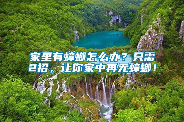 家里有蟑螂怎么辦？只需2招，讓你家中再無蟑螂！