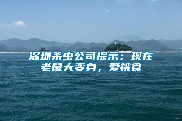深圳殺蟲(chóng)公司提示：現(xiàn)在老鼠大變身，愛(ài)挑食