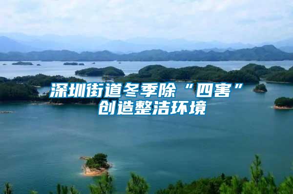 深圳街道冬季除“四害” 創造整潔環境