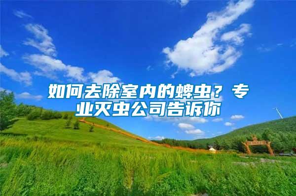 如何去除室內的蜱蟲?專業滅蟲公司告訴你