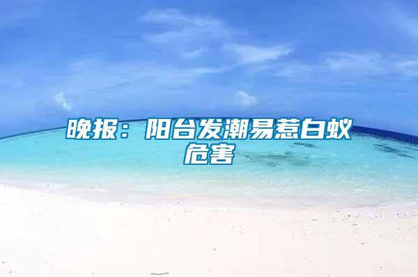 晚報:陽臺發潮易惹白蟻危害