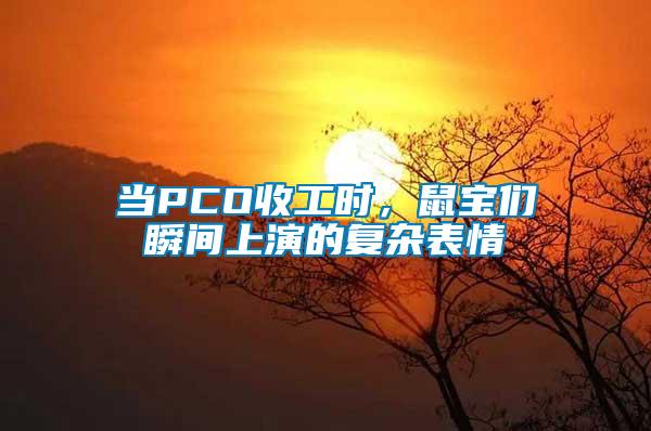 當PCO收工時,鼠寶們瞬間上演的復雜表情