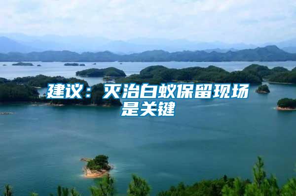 建議:滅治白蟻保留現場是關鍵