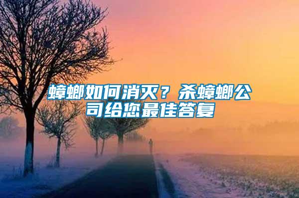 蟑螂如何消滅?殺蟑螂公司給您最佳答復