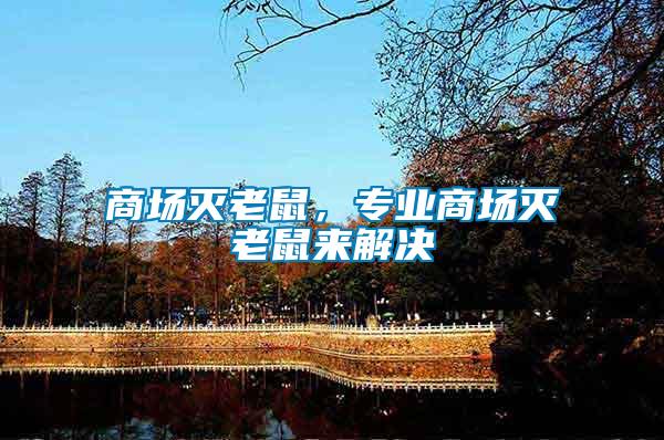 商場滅老鼠,專業商場滅老鼠來解決