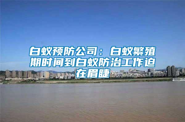 白蟻預防公司:白蟻繁殖期時間到白蟻防治工作迫在眉睫
