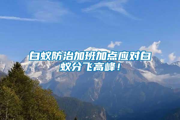 白蟻防治加班加點應對白蟻分飛高峰!