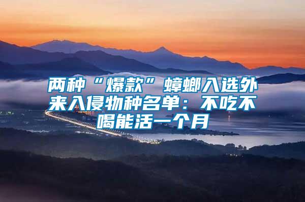 兩種“爆款”蟑螂入選外來入侵物種名單:不吃不喝能活一個月