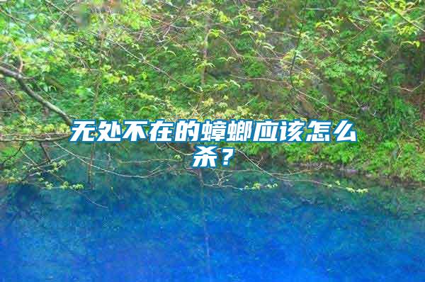 無處不在的蟑螂應該怎么殺?