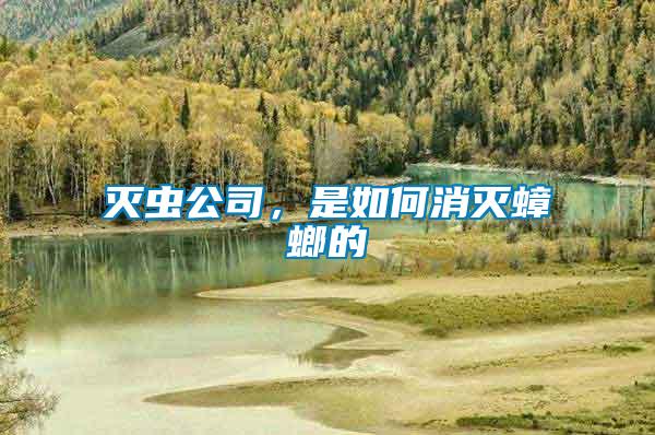 滅蟲(chóng)公司，是如何消滅蟑螂的