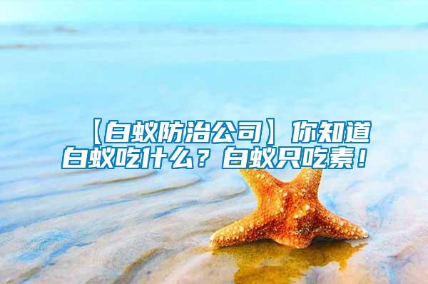 【白蟻防治公司】你知道白蟻吃什么？白蟻只吃素！