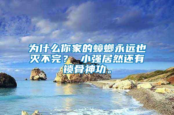 為什么你家的蟑螂永遠也滅不完？ 小強居然還有鎖骨神功。