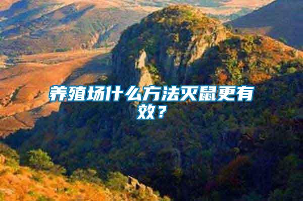 養殖場什么方法滅鼠更有效？