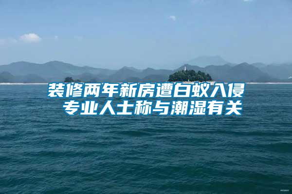 裝修兩年新房遭白蟻入侵 專業(yè)人士稱與潮濕有關