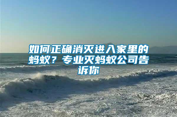 如何正確消滅進(jìn)入家里的螞蟻?專業(yè)滅螞蟻公司告訴你