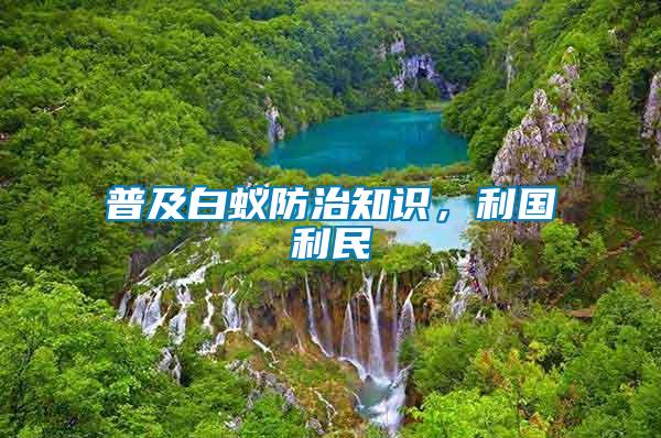 普及白蟻防治知識,利國利民