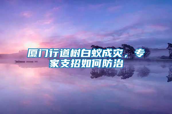 廈門行道樹白蟻成災，專家支招如何防治