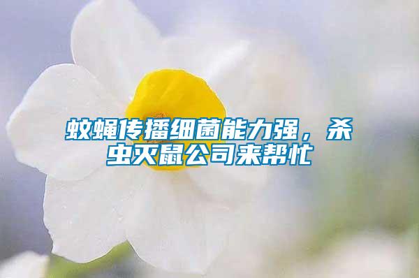 蚊蠅傳播細(xì)菌能力強(qiáng)，殺蟲滅鼠公司來幫忙