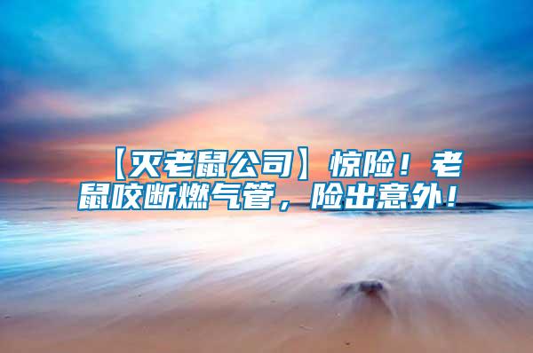 【滅老鼠公司】驚險！老鼠咬斷燃氣管，險出意外！