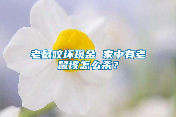 老鼠咬壞現金 家中有老鼠該怎么殺？