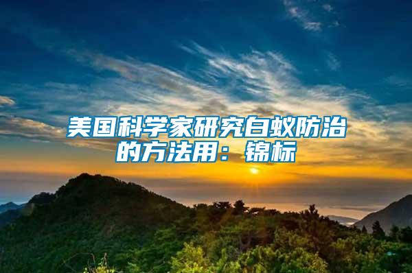 美國科學家研究白蟻防治的方法用:錦標