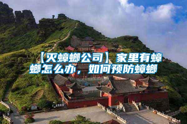 【滅蟑螂公司】家里有蟑螂怎么辦，如何預防蟑螂