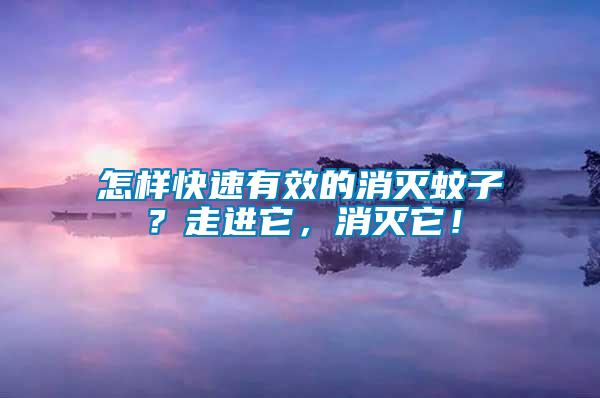 怎樣快速有效的消滅蚊子？走進它，消滅它！