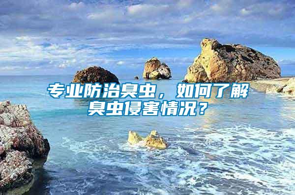 專業防治臭蟲，如何了解臭蟲侵害情況？