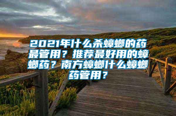 2021年什么殺蟑螂的藥最管用？推薦最好用的蟑螂藥？南方蟑螂什么蟑螂藥管用？