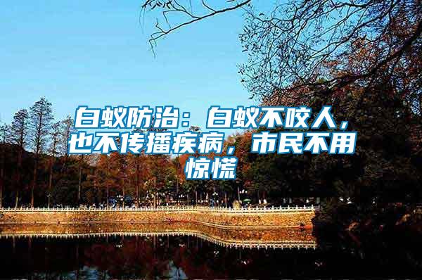 白蟻防治:白蟻不咬人,也不傳播疾病,市民不用驚慌