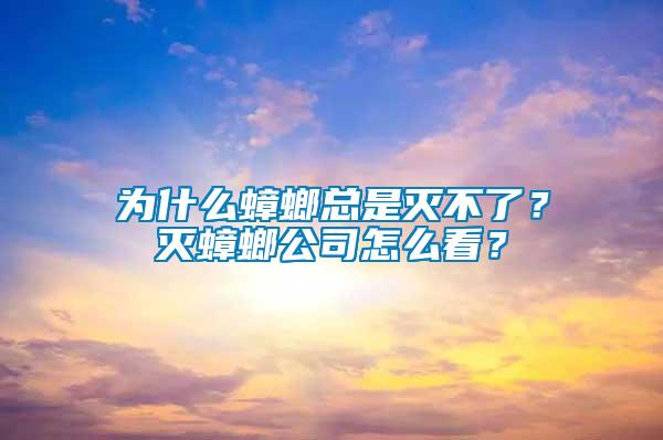 為什么蟑螂總是滅不了？滅蟑螂公司怎么看？