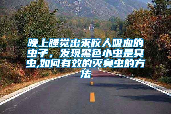 晚上睡覺出來咬人吸血的蟲子，發(fā)現(xiàn)黑色小蟲是臭蟲,如何有效的滅臭蟲的方法