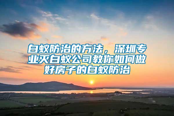 白蟻防治的方法，深圳專業(yè)滅白蟻公司教你如何做好房子的白蟻防治