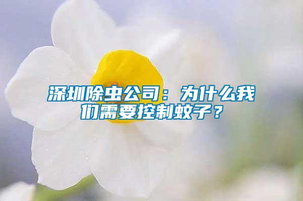 深圳除蟲公司：為什么我們需要控制蚊子？