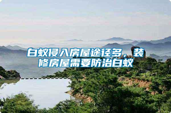 白蟻侵入房屋途徑多，裝修房屋需要防治白蟻