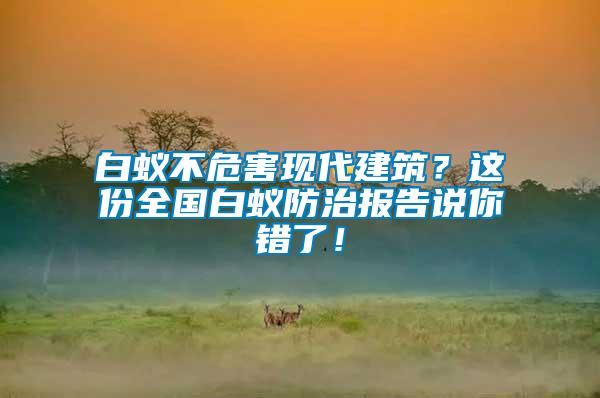 白蟻不危害現代建筑？這份全國白蟻防治報告說你錯了！