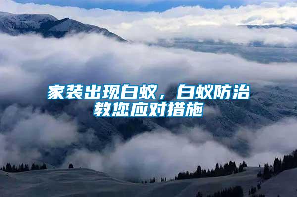 家裝出現白蟻，白蟻防治教您應對措施