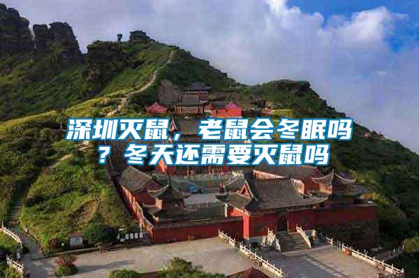 深圳滅鼠,老鼠會冬眠嗎?冬天還需要滅鼠嗎