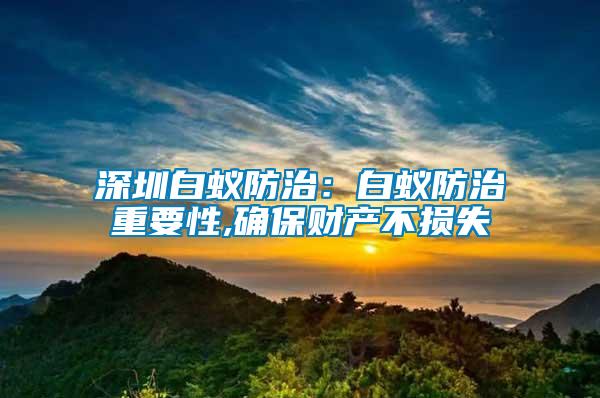 深圳白蟻防治:白蟻防治重要性,確保財產不損失