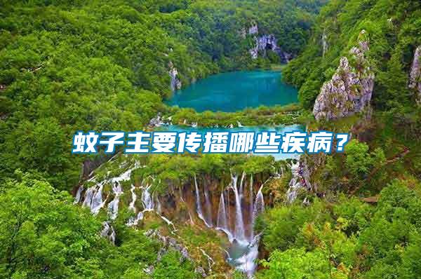 蚊子主要傳播哪些疾病?