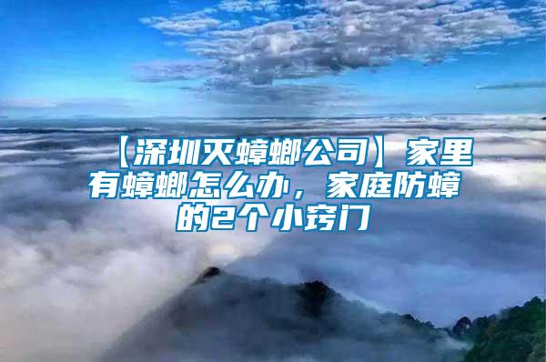 【深圳滅蟑螂公司】家里有蟑螂怎么辦,家庭防蟑的2個小竅門