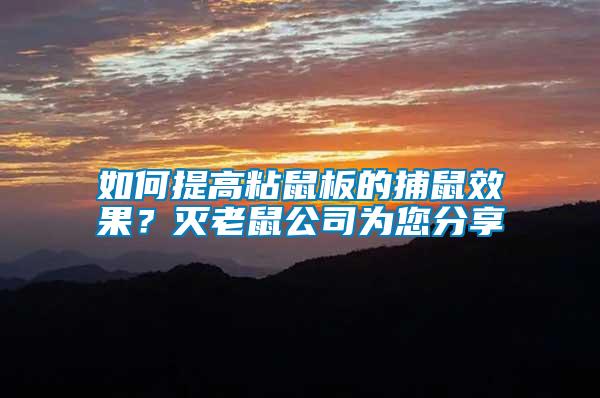 如何提高粘鼠板的捕鼠效果？滅老鼠公司為您分享