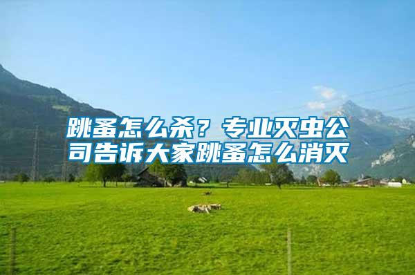 跳蚤怎么殺?專業(yè)滅蟲(chóng)公司告訴大家跳蚤怎么消滅