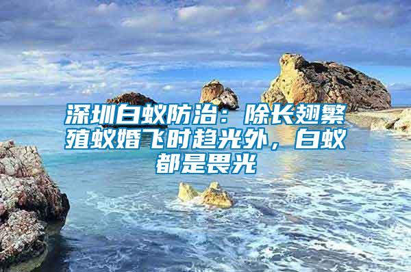 深圳白蟻防治：除長翅繁殖蟻婚飛時(shí)趨光外，白蟻都是畏光