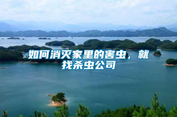 如何消滅家里的害蟲,就找殺蟲公司